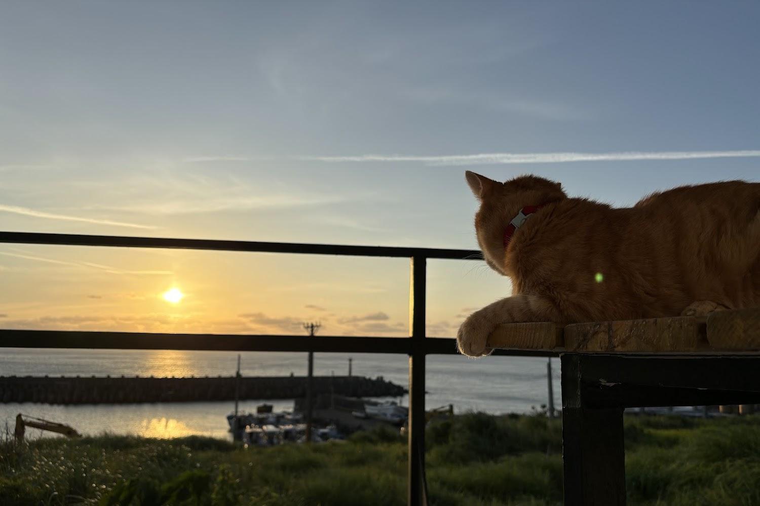 2026 蘭嶼旅遊全攻略：嚴選霏予霏海景民宿與優質住宿，開啟深度太平洋避世之旅