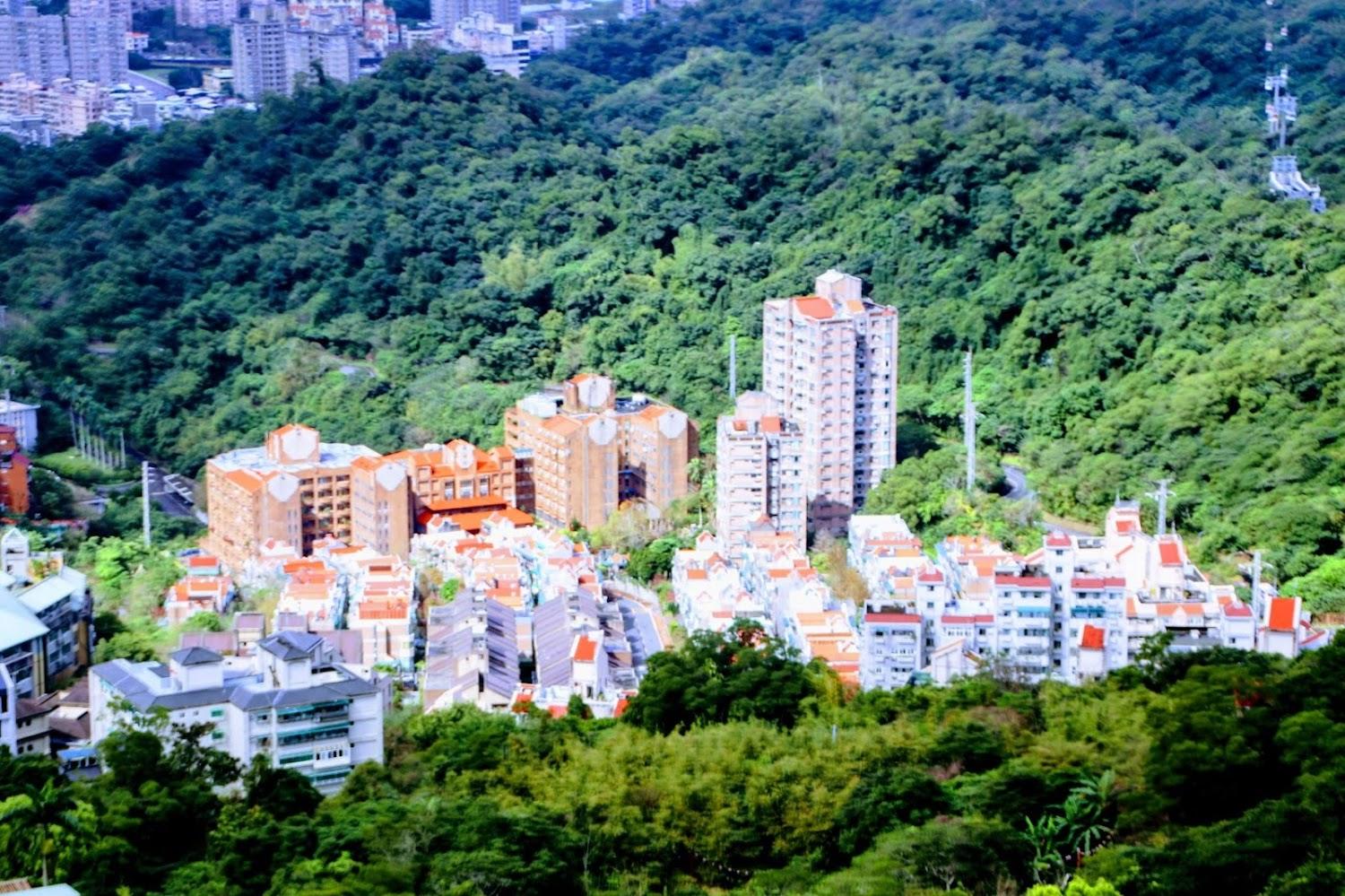 2026 貓空旅遊全攻略：搭纜車看 101 夜景、品味木柵鐵觀音，尋訪台北最美山城茶鄉