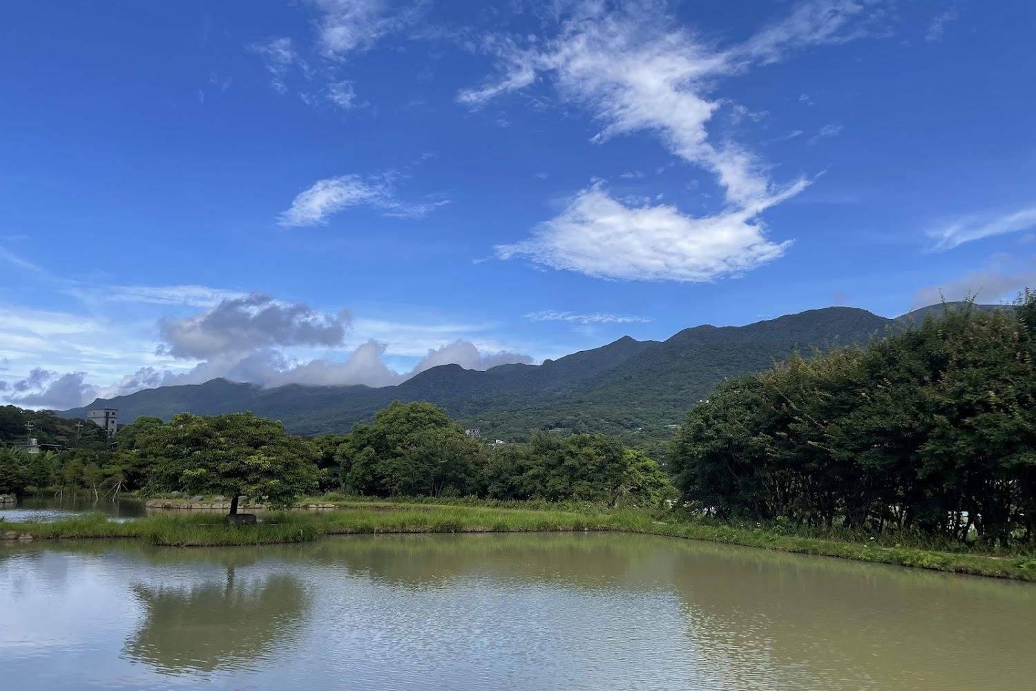 2026三芝田心子旅遊全攻略：探索「水中央」絕美倒影、櫻花步道與在地秘境美食