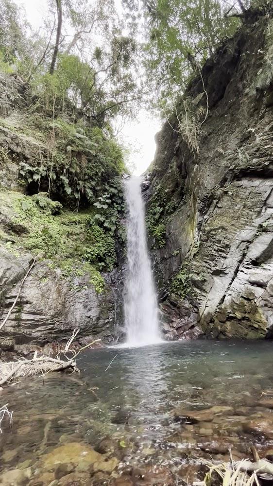 2026台中避暑首選！探訪和平區蝴蝶谷瀑布秘境：負離子天堂、親民森林步道與谷關美食全攻略