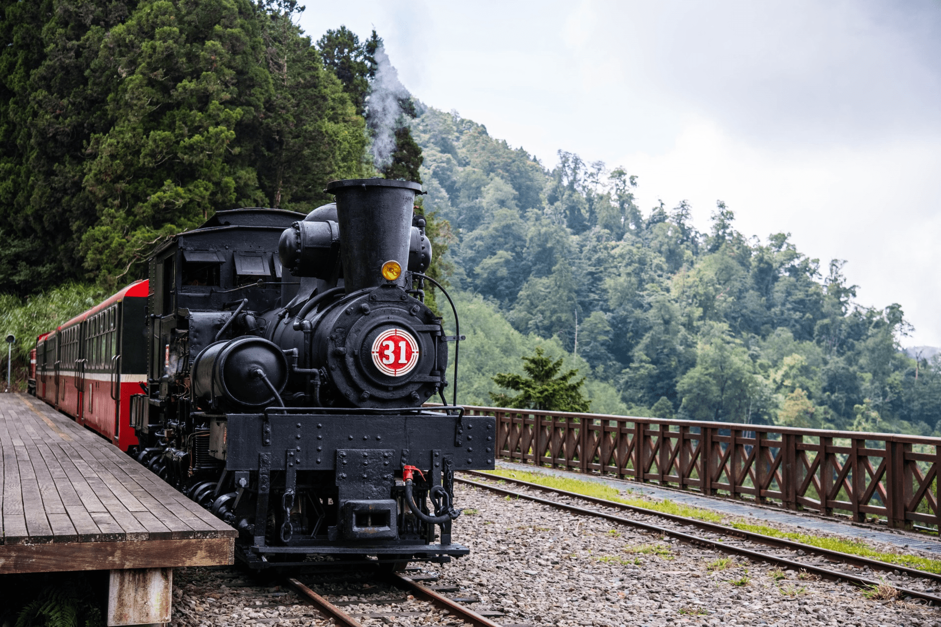 2026 阿里山櫻花季全攻略：最新賞花時序、百年蒸機 SL-31 與兩天一夜行程指南