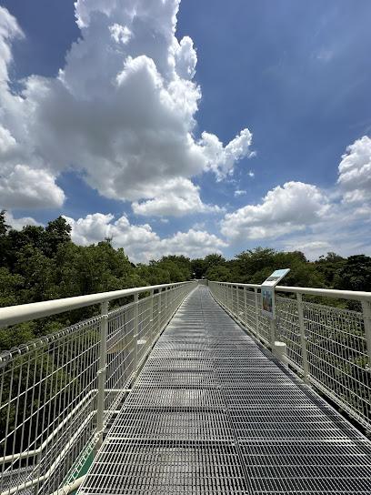 2026 彰化旅遊全攻略：從八卦山天空步道、鹿港老街到扇形車庫，品味深厚的文化與美感之旅