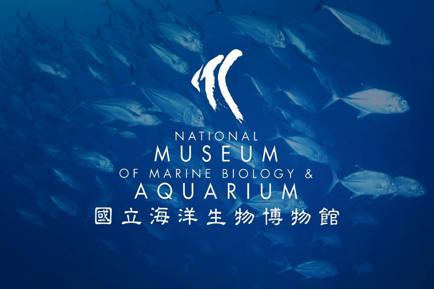 2026南台灣旅遊首選：走訪墾丁國家公園與海生館，深度體驗屏東自然生態與文創魅力