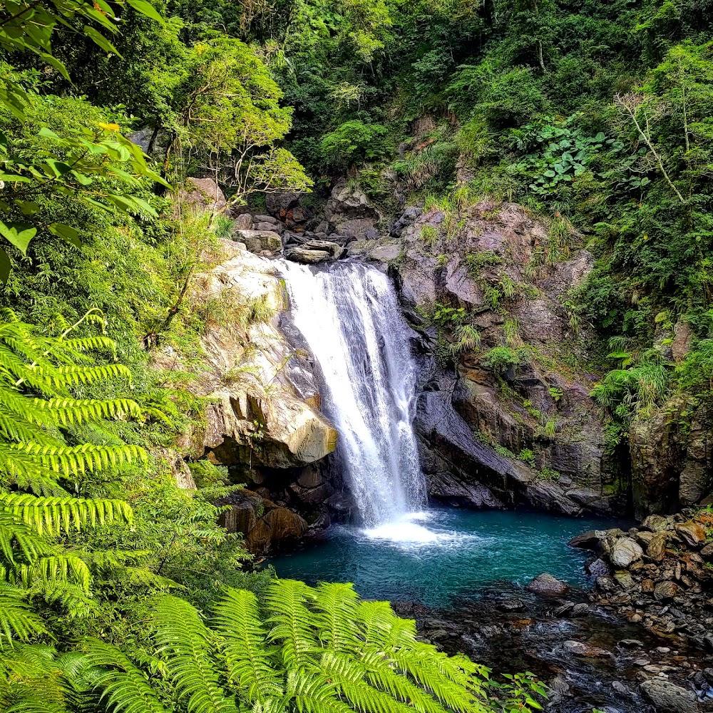 2026 烏來內洞國家森林遊樂區全攻略：深入全台負離子之冠，體驗瀑布與森林的療癒能量