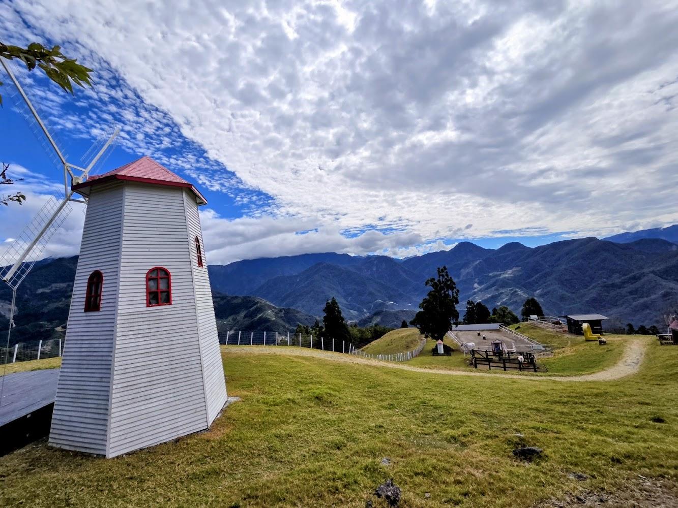 2026避暑首選！南投清境農場深度遊：探訪青青草原與療癒綿羊秀，感受台灣小瑞士之美