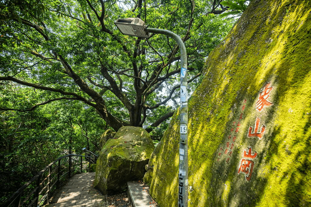 2026 台北必訪景點：象山自然步道，俯瞰 101 絕美全景的城市後花園