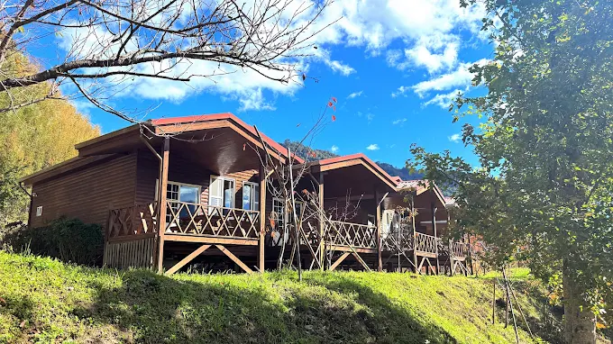 走進上帝的部落！2026 司馬庫斯希莉克民宿：泰雅靈鳥守護下的巨木森林療癒之旅