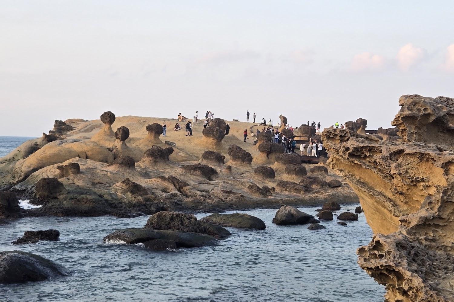 2026台灣必訪地質奇蹟！野柳地質公園探秘：見證女王頭與千萬年海蝕絕景