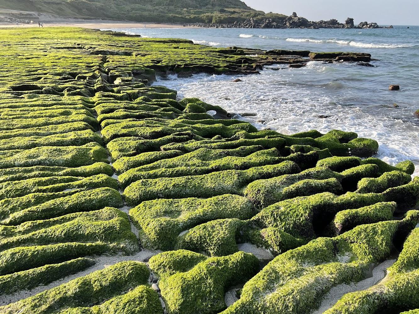 2026新北五大自然秘境推薦：老梅綠石槽季節限定美景，找回內心平靜的「生活解壓縮鍵」