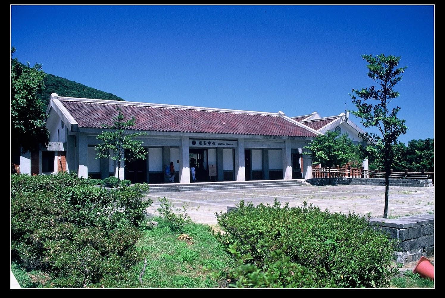 2026陽明山花季盛大登場：從櫻花到海芋，走進「花漾陽明」春天饗宴全攻略