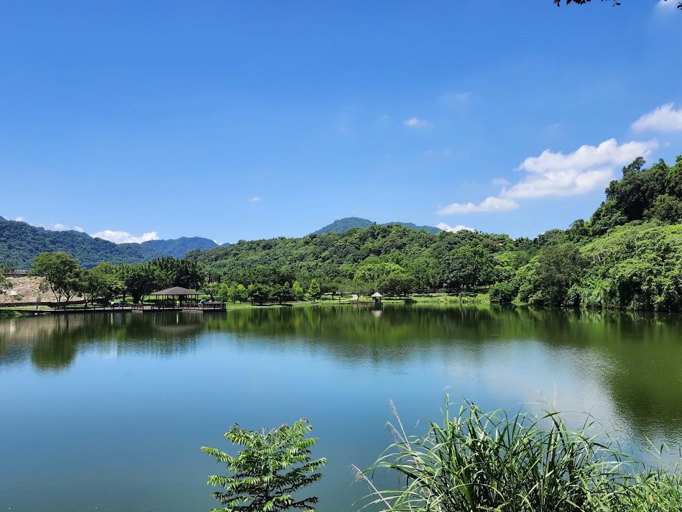 2026桃園龍潭旅遊推薦｜三坑自然生態公園：絕美湖景、親子野餐與濕地生態的療癒秘境
