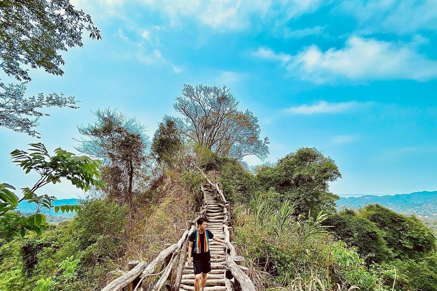 2026台中大坑風景區攻略：12條登山步道全解析，從圓木棧道挑戰到在地芋圓美食之旅