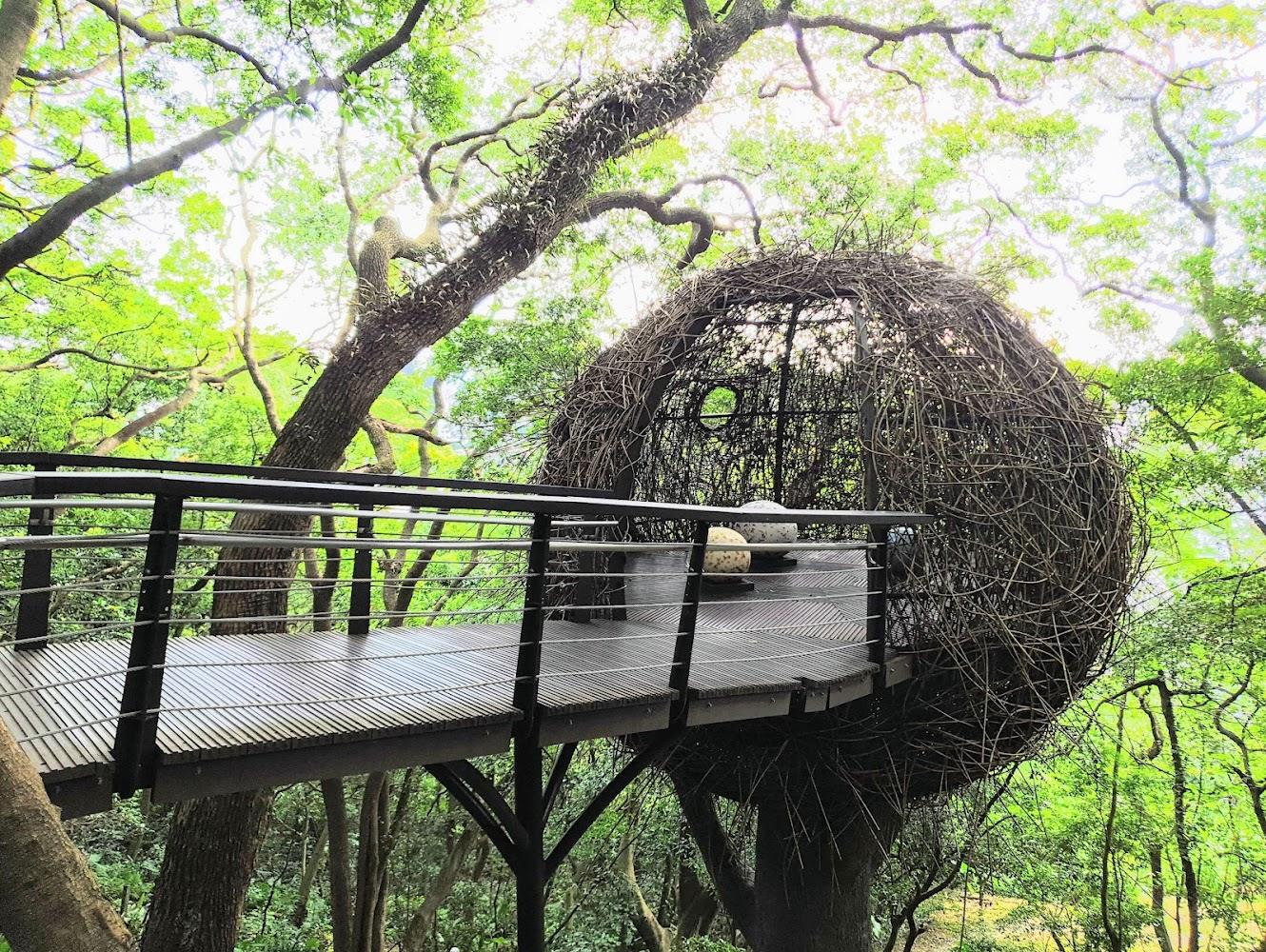 2026桃園虎頭山公園全攻略：親子樹屋、無障礙步道與百萬夜景一次收藏