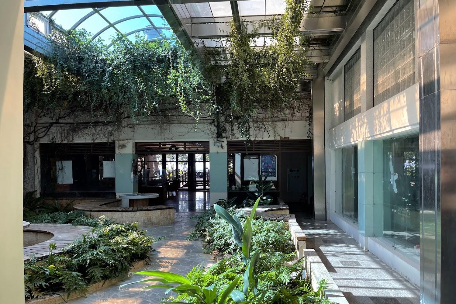 2026墾丁深度旅遊全攻略：探索國家森林祕境與鵝鑾鼻燈塔，慢享南國山海時光