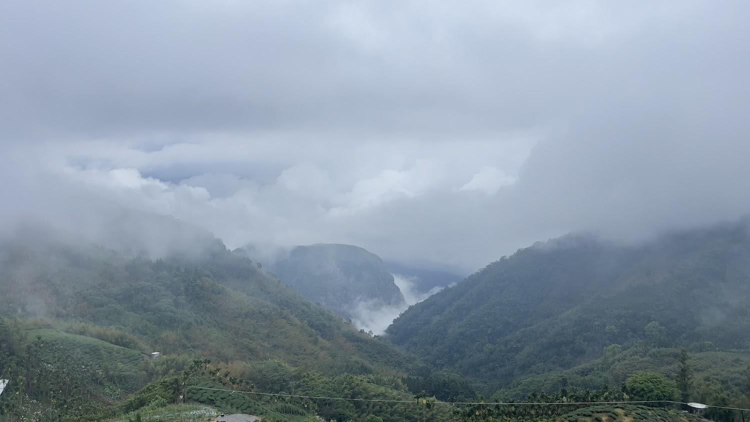 2026 阿里山旅遊全攻略：隙頂象山雲海、百年鐵道與五奇絕景深度解析