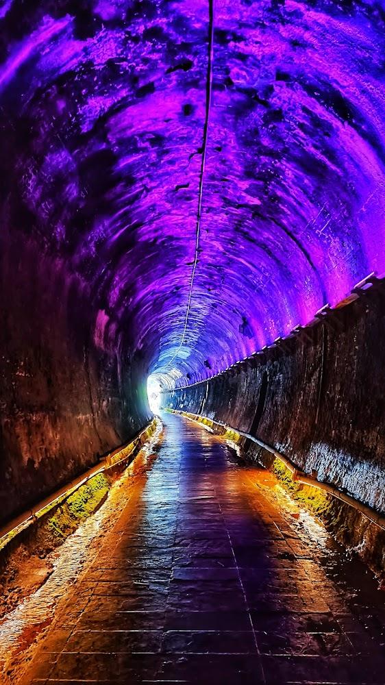 穿越百年時空！2026苗栗療癒之旅：功維敘隧道幻彩光影與山海秘境全攻略