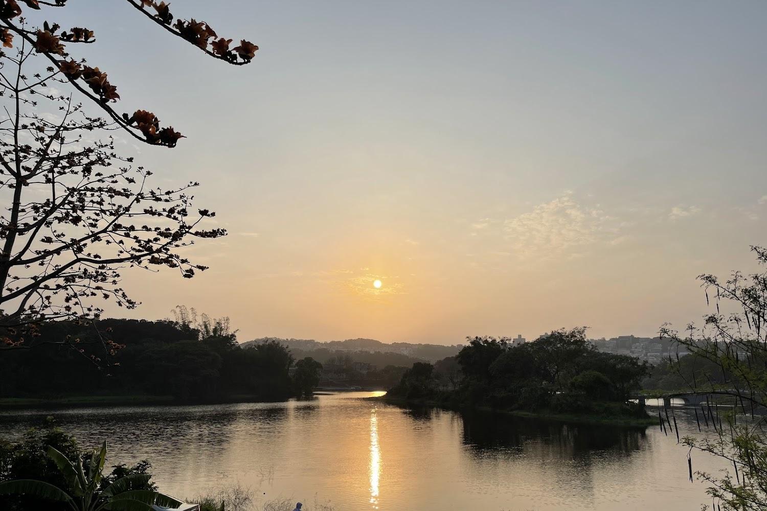 2026 新竹青草湖全攻略：SUP立槳、電動天鵝船與映月橋美景，感受北台灣最美親水亮點