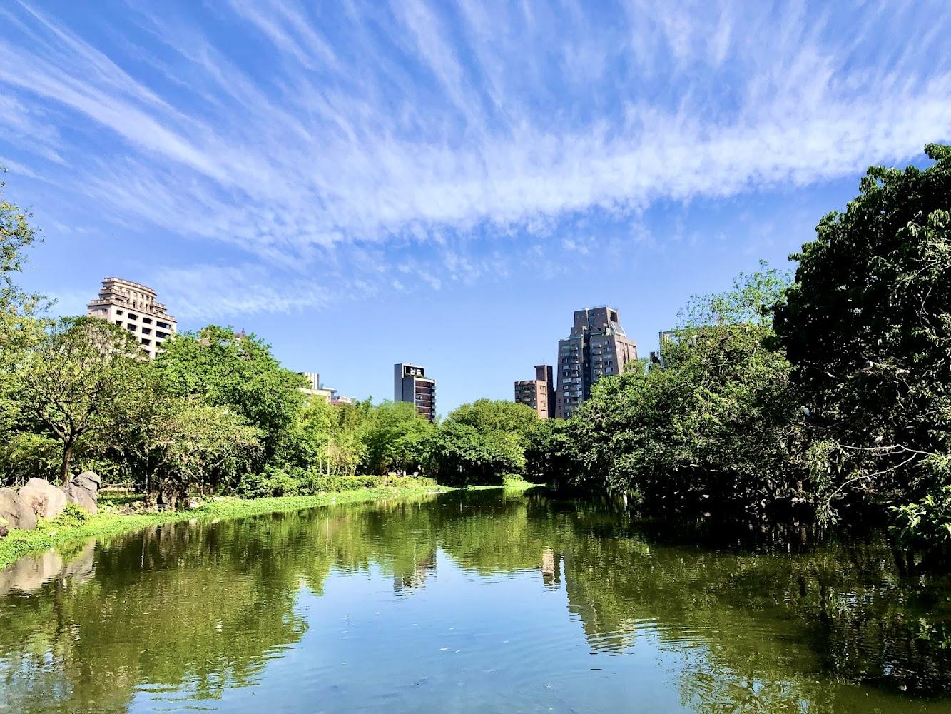 2026 台北綠色奇蹟：大安森林公園全攻略，漫遊都市之肺的生態與美學盛宴