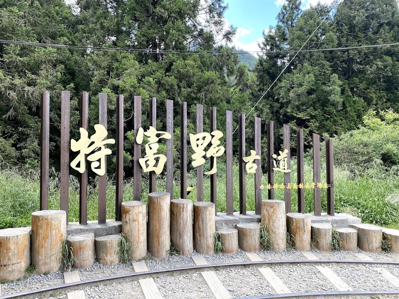 2026 嘉義特富野古道完整指南：走進阿里山最美森林鐵路，與柳杉林的療癒對話