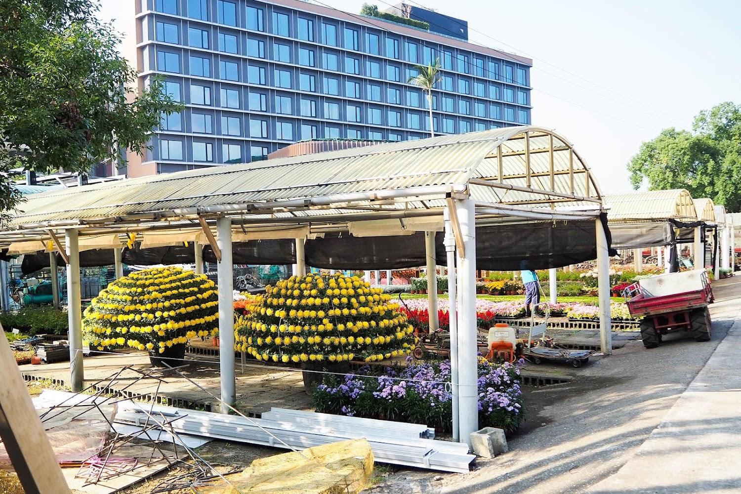 2026 士林官邸鬱金香展盛大登場：走進歷史與花海交織的城中綠寶石