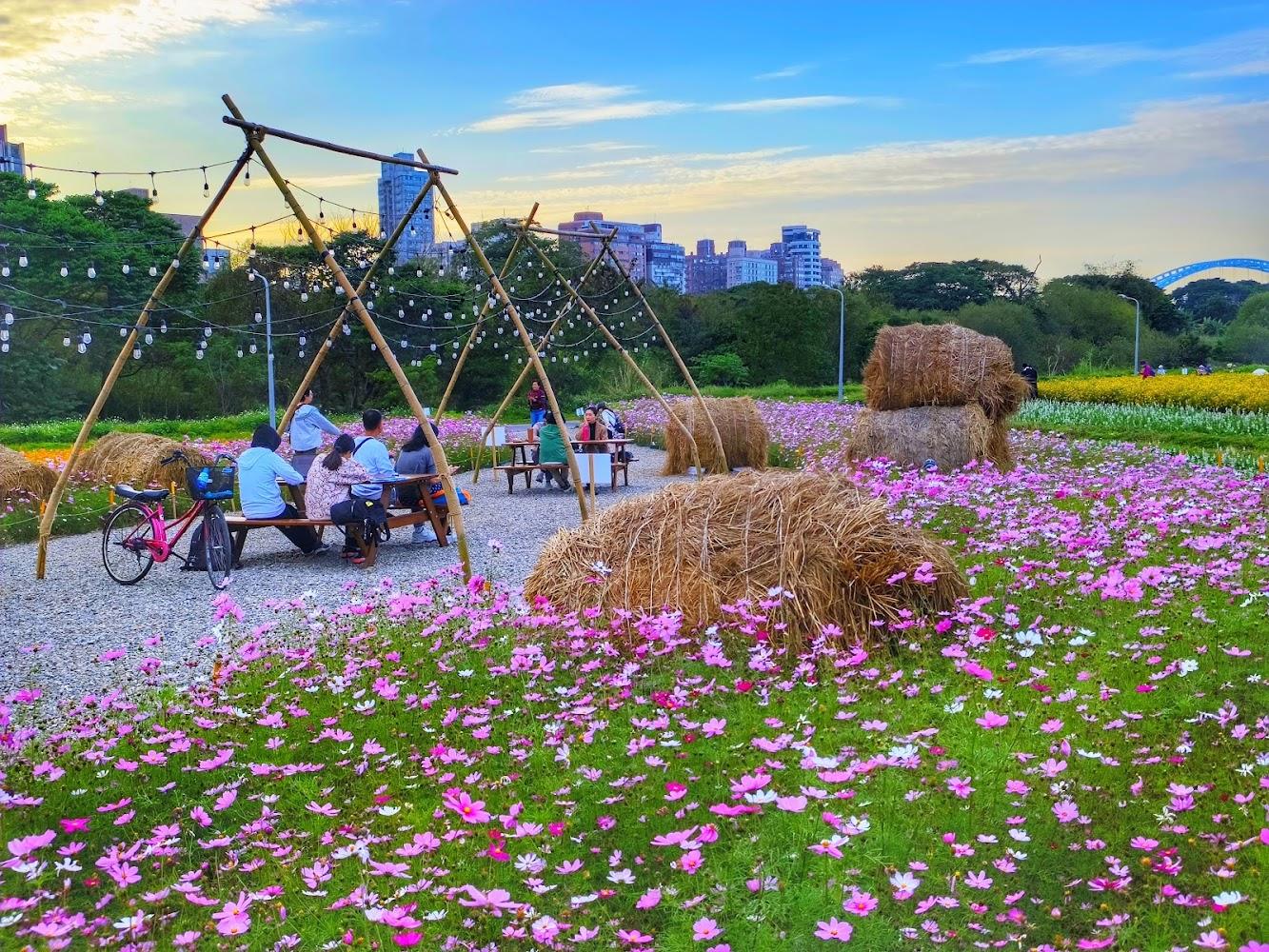 2026台北必訪！古亭河濱公園夢幻紫色花海盛開，交通攻略與私房打卡點全公開