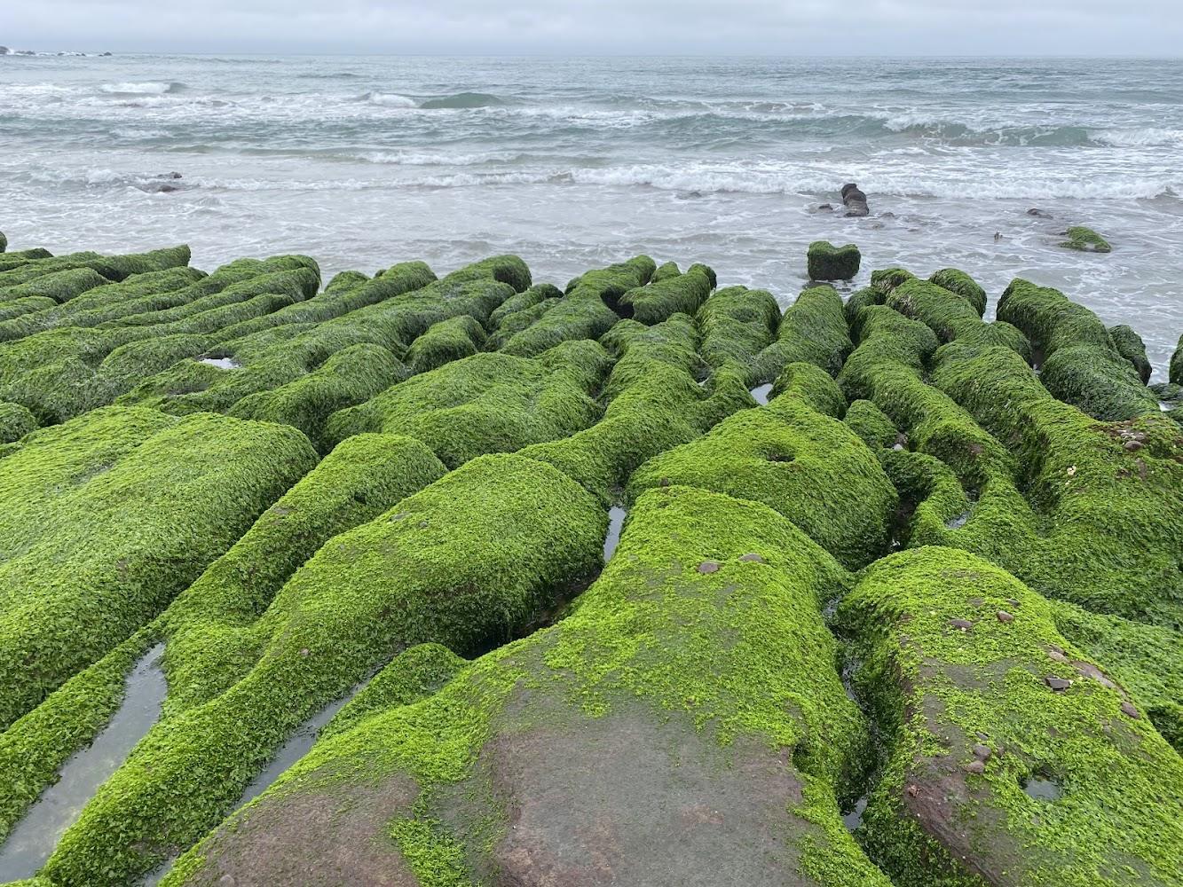 2026北海岸一日遊攻略：從跳石公車站到老梅綠石槽，探索全台最美湛藍廊帶