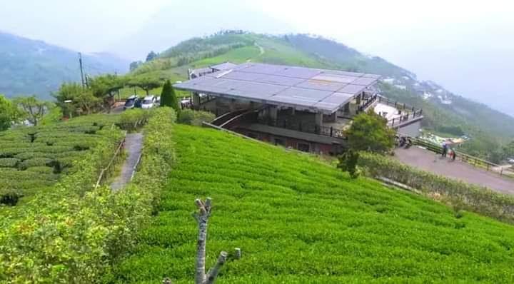 2026 嘉義梅山旅遊全攻略：走入太平雲梯與 1314 茶園，體驗極致雲海與慢活氛圍