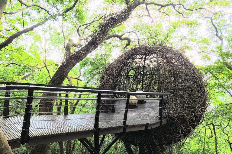 2026 桃園後花園「虎頭山公園」全攻略：探索全齡友善步道與奧爾森林學堂的都會綠洲