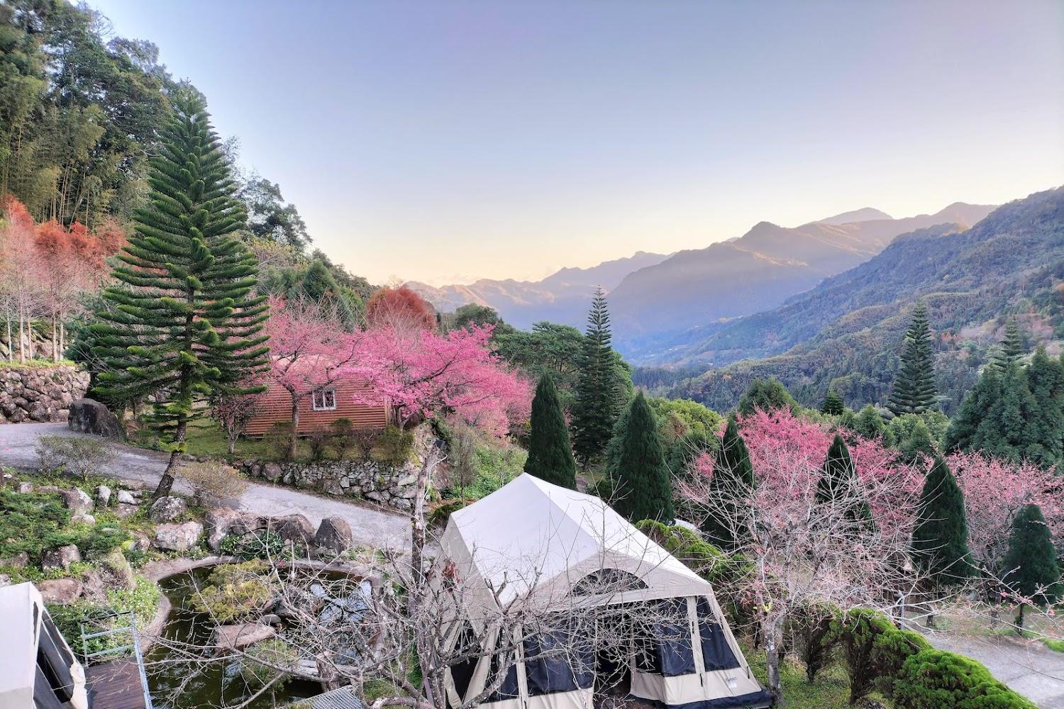 2026新竹尖石秘境｜馬胎仙境露營區：超震撼CP值包棟首選，每人840元起含早餐，盡享雲海森林浴