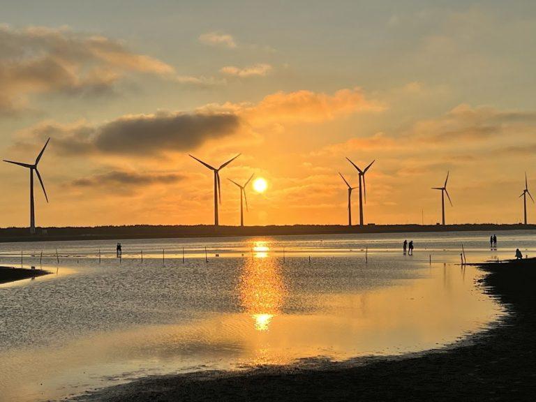 2026高美濕地旅遊全攻略：探索「天空之鏡」絕美秘境與豐富生態