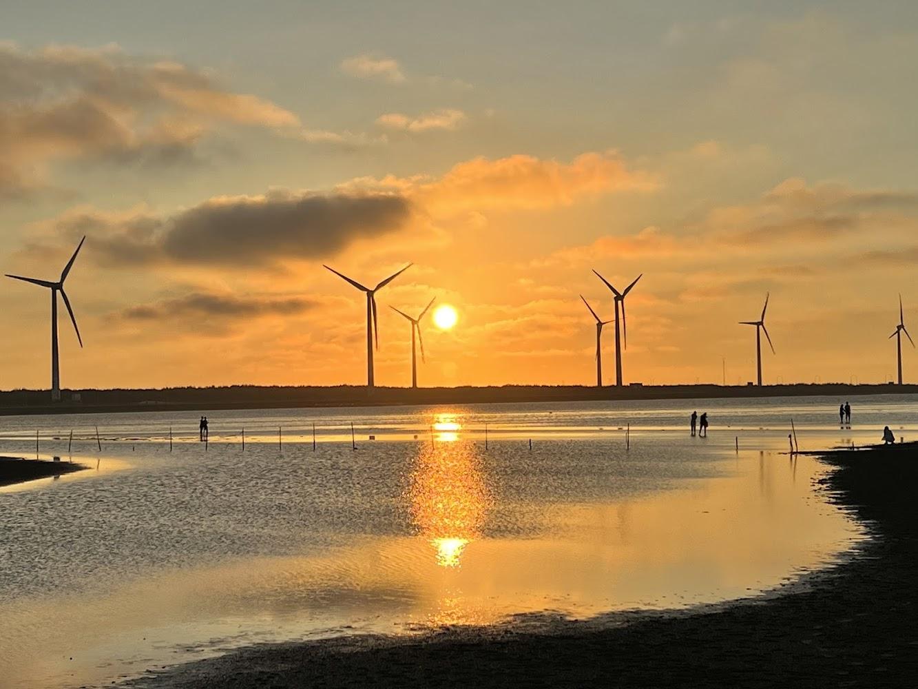 2026高美濕地旅遊全攻略：探索「天空之鏡」絕美秘境與豐富生態