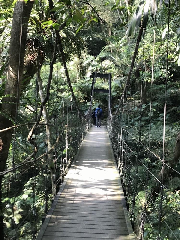 2026北台灣寵物渡假首選：三峽大板根森林溫泉酒店，帶毛孩入住雨林芬多精木屋、享受頂級美人湯