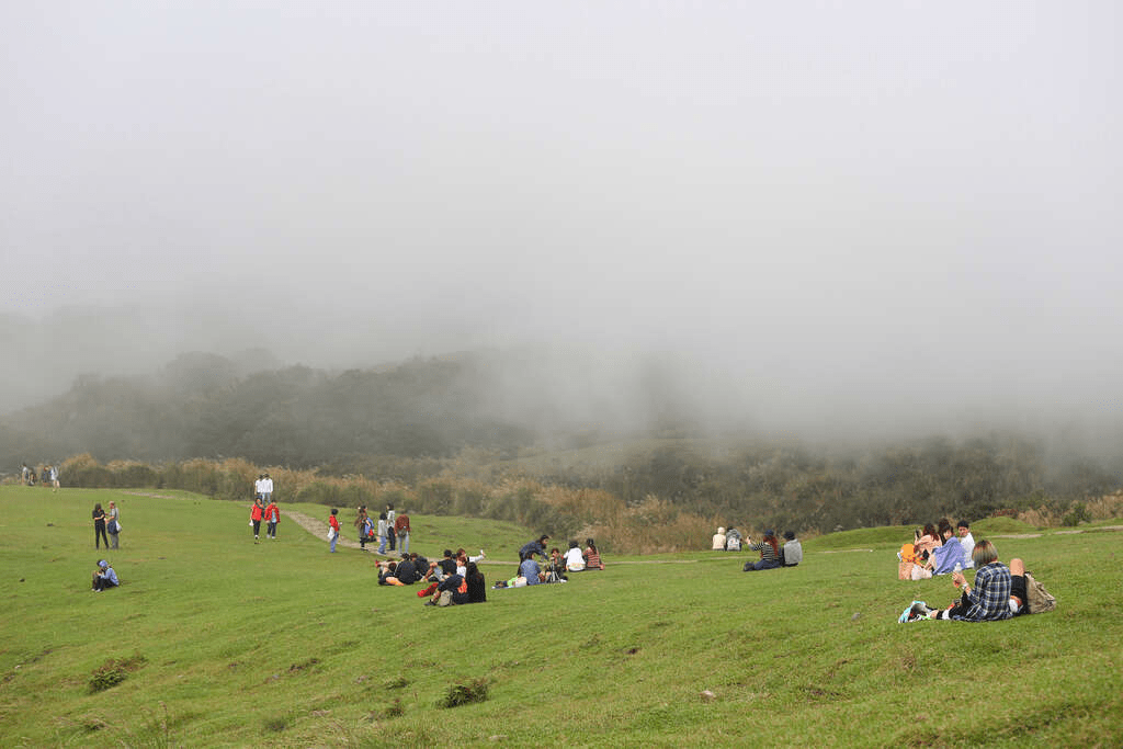 2026台北近郊慢活輕旅行：串聯陽明山、九份與北投溫泉的深度一日遊