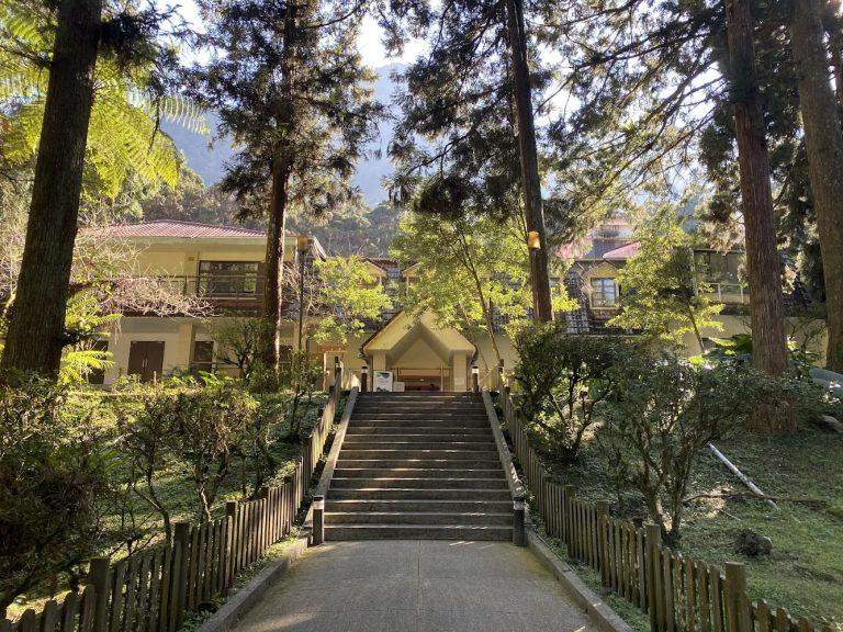 2026 溪頭療癒假期｜Success Banner 飯店銀杏樓一泊二食開箱，沉浸杉林雲霧的 Reset 之旅