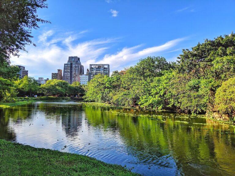 2026 台北大安森林公園全攻略:探訪都市之肺,感受杜鵑花海、生態保育與藝文魅力