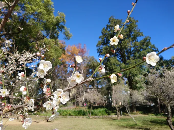 午後沿著角板山行館的坡道往下走,穿越戰備隧道再把山色倒影收進景觀池
