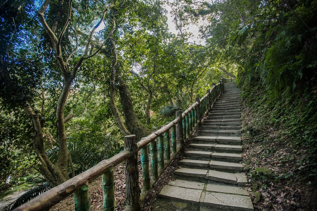 石門山不只是一座小百岳！登上桃園經典步道，把石門水庫與山城視野一次收藏