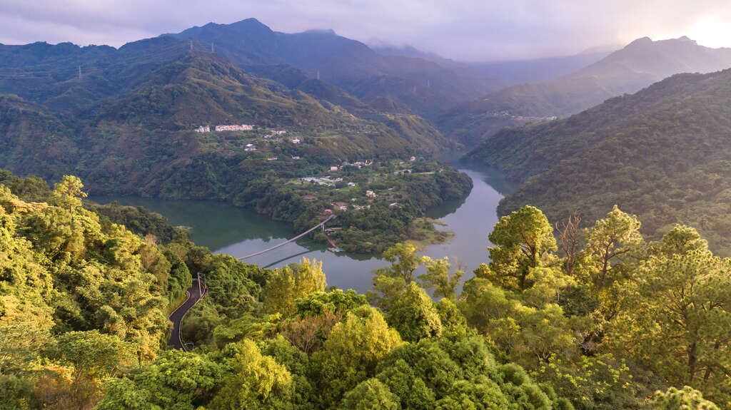 角板山行館園區這樣玩最剛好！走進北橫山城秘境，梅園、戰備隧道與林間步道一次收進行程裡