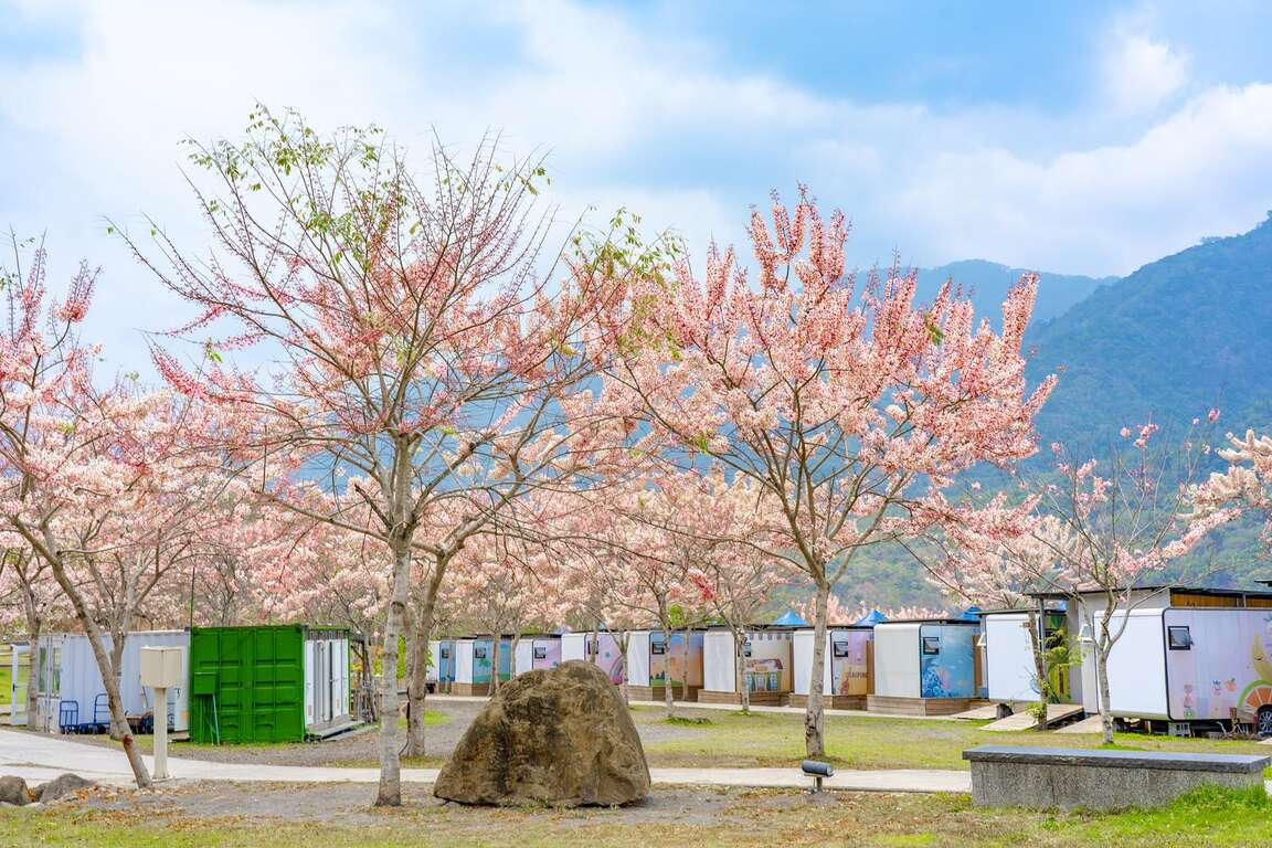 寶來溫泉區不只適合冬天！走進高雄六龜山城，泡美人湯、看花旗木，把慢旅行過成一種享受
