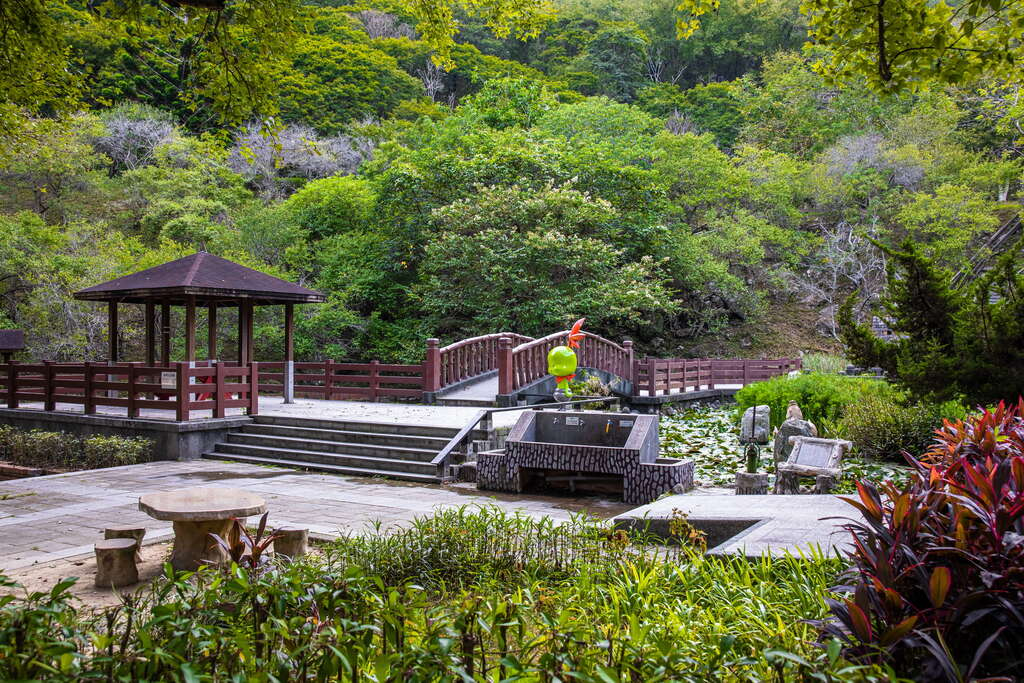 石門水庫溪洲公園不只適合散步！大片草地、步道與湖庫風景一次收進桃園小旅行