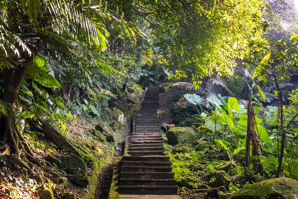 石門水庫溪洲公園不只適合散步！大片草地、步道與湖庫風景一次收進桃園小旅行