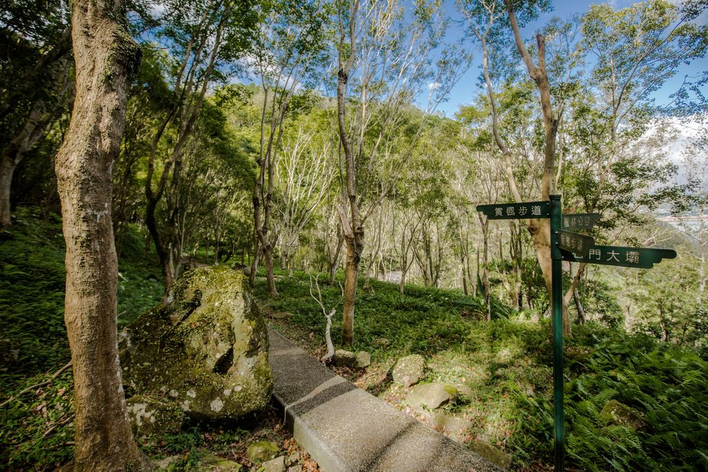 石門水庫溪洲公園不只適合散步！大片草地、步道與湖庫風景一次收進桃園小旅行