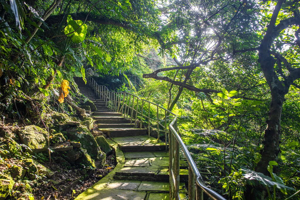 石門水庫溪洲公園不只適合散步！大片草地、步道與湖庫風景一次收進桃園小旅行