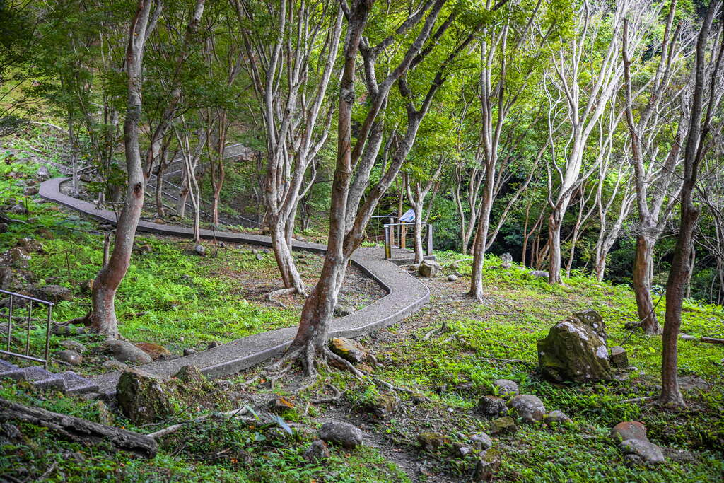 石門水庫溪洲公園不只適合散步！大片草地、步道與湖庫風景一次收進桃園小旅行