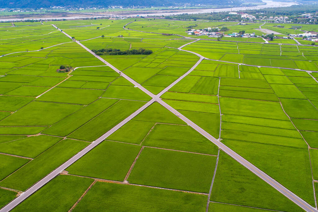 在伯朗大道的綠色與金色之間停留，讓四季寫下一段屬於時間的風景故事