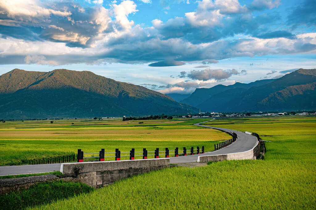 在伯朗大道的綠色與金色之間停留，讓四季寫下一段屬於時間的風景故事
