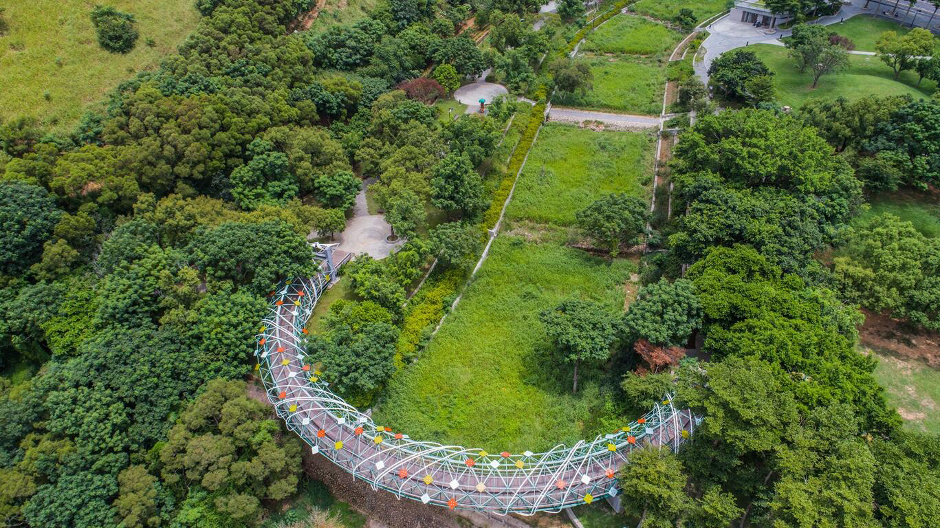 台中清水不只有高美濕地！走進海線小鎮，把濕地夕陽、老街古厝與鰲峰山視野一次收進旅行裡