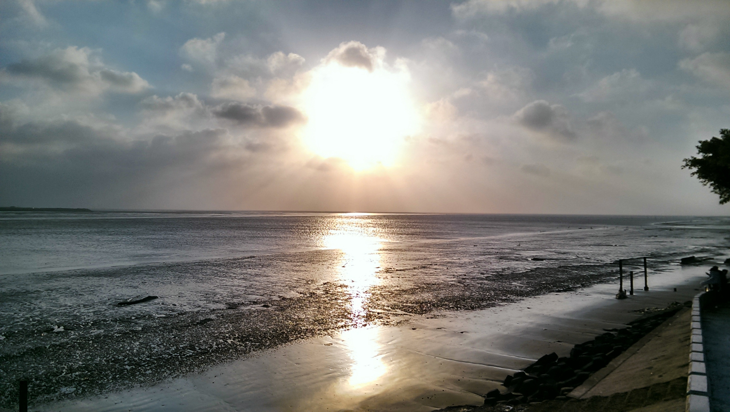 彰化伸港不只有海風！從白色海豚屋、濕地水鳥到蚵仔寮海景，走進海線小鎮的慢旅行節奏