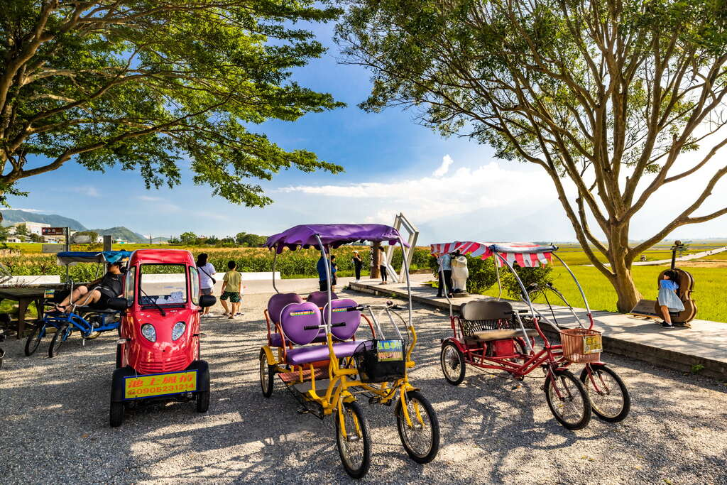 在伯朗大道的綠色與金色之間停留，讓四季寫下一段屬於時間的風景故事