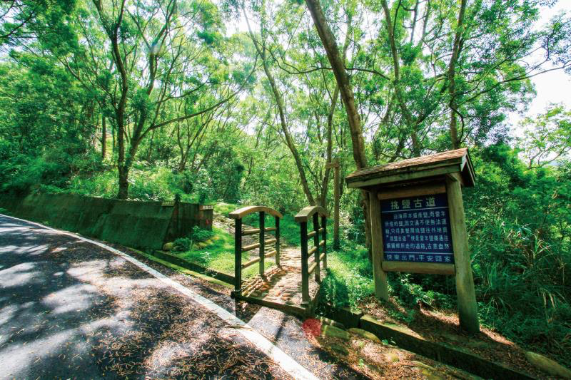 苗栗通霄鎮不只有白沙屯媽祖！走進海風吹拂的山海小鎮，感受神社、海岸與老街交織的慢旅行
